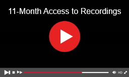 11-month video archive icon